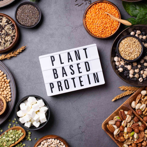 Best Plant-Based Protein Powders in 2025: A Complete Guide for Beginners