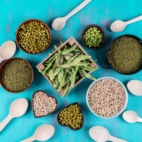 Why Fiber Matters in Your Protein Powder (and How to Get Enough)