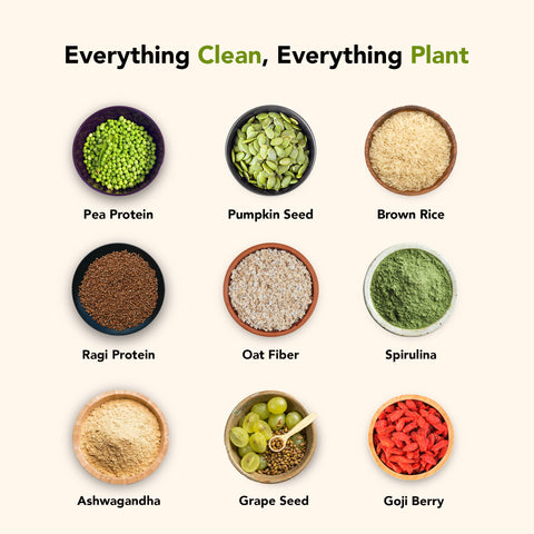 Clean plant protein by Daily Monk with natural ingredients