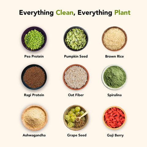 Clean plant protein by Daily Monk with natural ingredients
