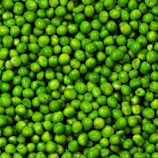 Pea Protein Image
