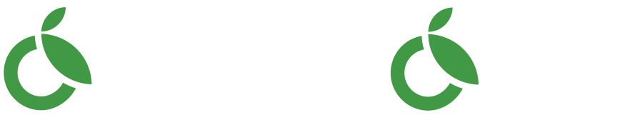 Our story